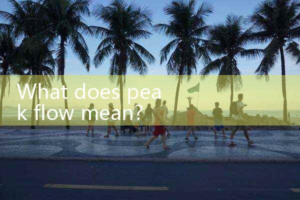 peak flow|coriolis mass flow meter