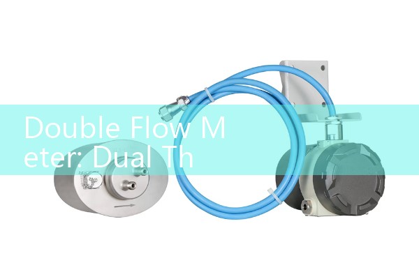 Double Flow Meter: Dual Thorpe Tube Gas Regulators for Back-Purge Welding
