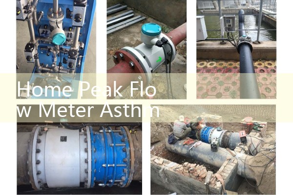 Home Peak Flow Meter Asthma Action Plans: Setting Red, Yellow, and Green Expiratory Limits