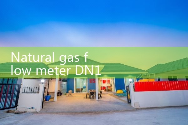 natural gas flow meter DN150|arduino flow meter