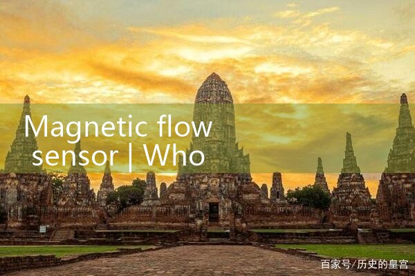 magnetic flow sensor|mass flowmeter