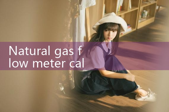 natural gas flow meter calibration|arduino flow meter