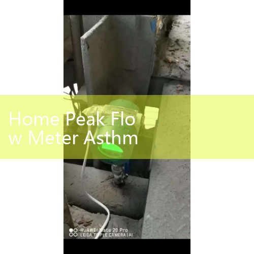Home Peak Flow Meter Asthma Action Plans: Setting Red, Yellow, and Green Expiratory Limits